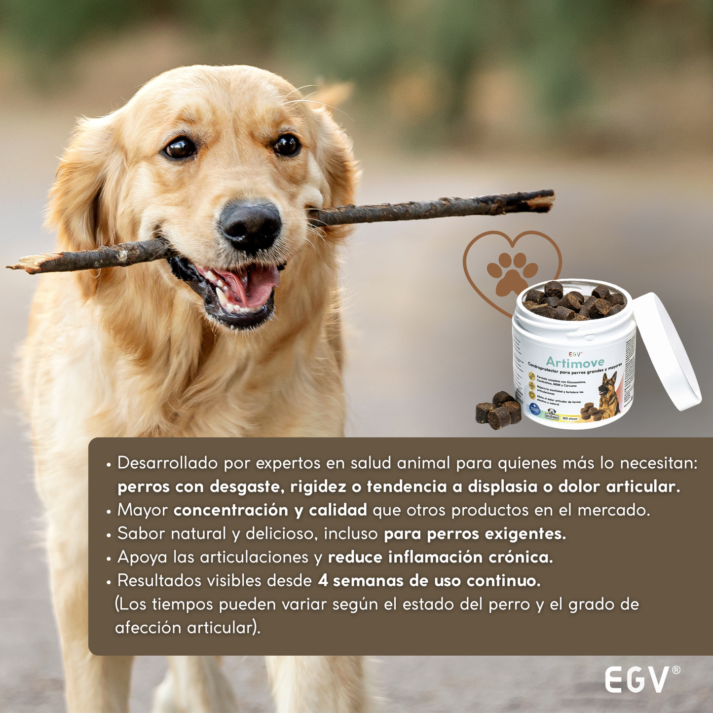 ARTIMOVE | Condroprotector Premium para Perros | 120 Chews