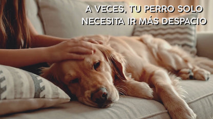 ARTIMOVE | Condroprotector Premium para Perros | 120 Chews