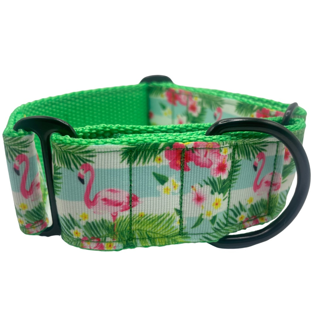 Martingale Diseños — imagen 2