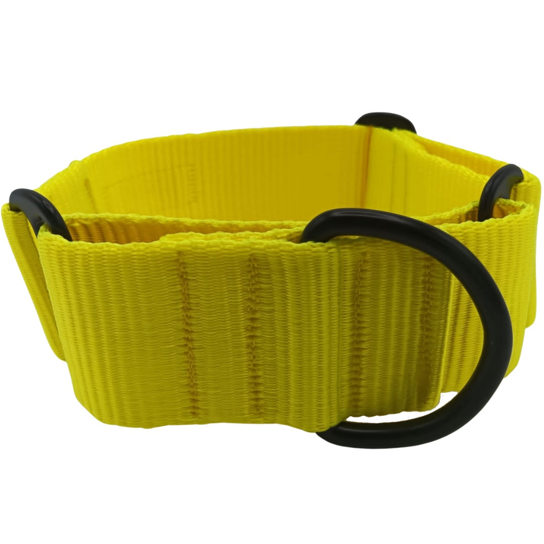 Martingale Liso — imagen 2