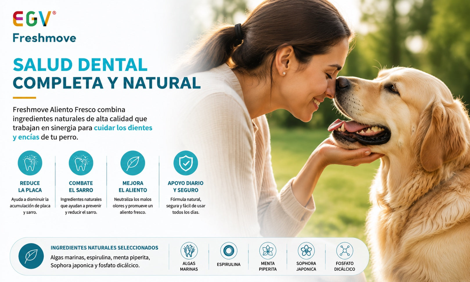 Freshmove — información adicional