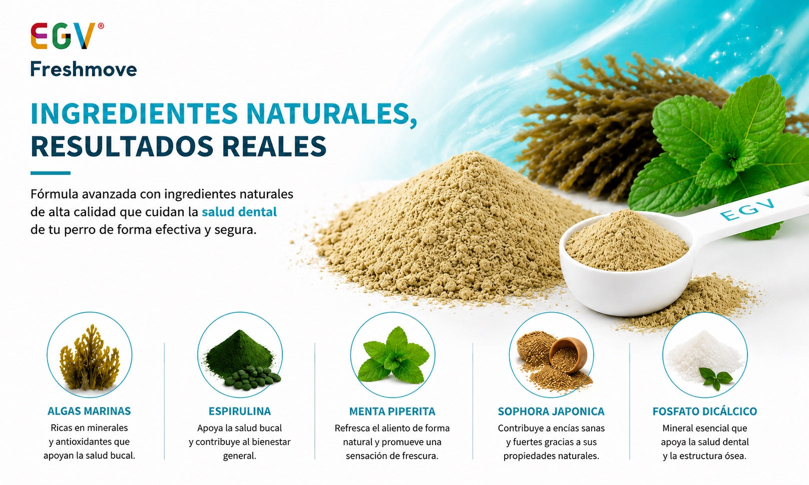 Freshmove — información adicional