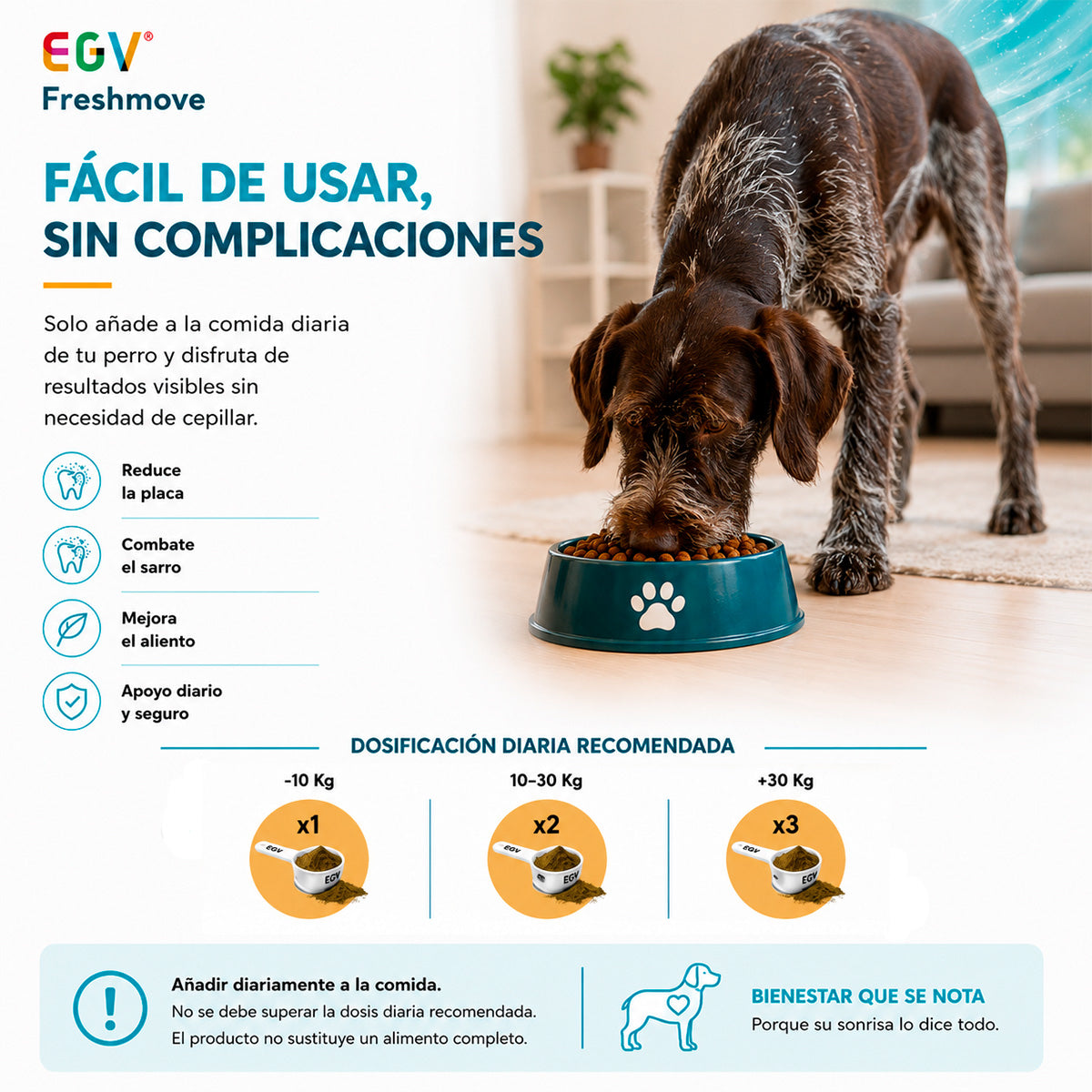 Freshmove — información adicional
