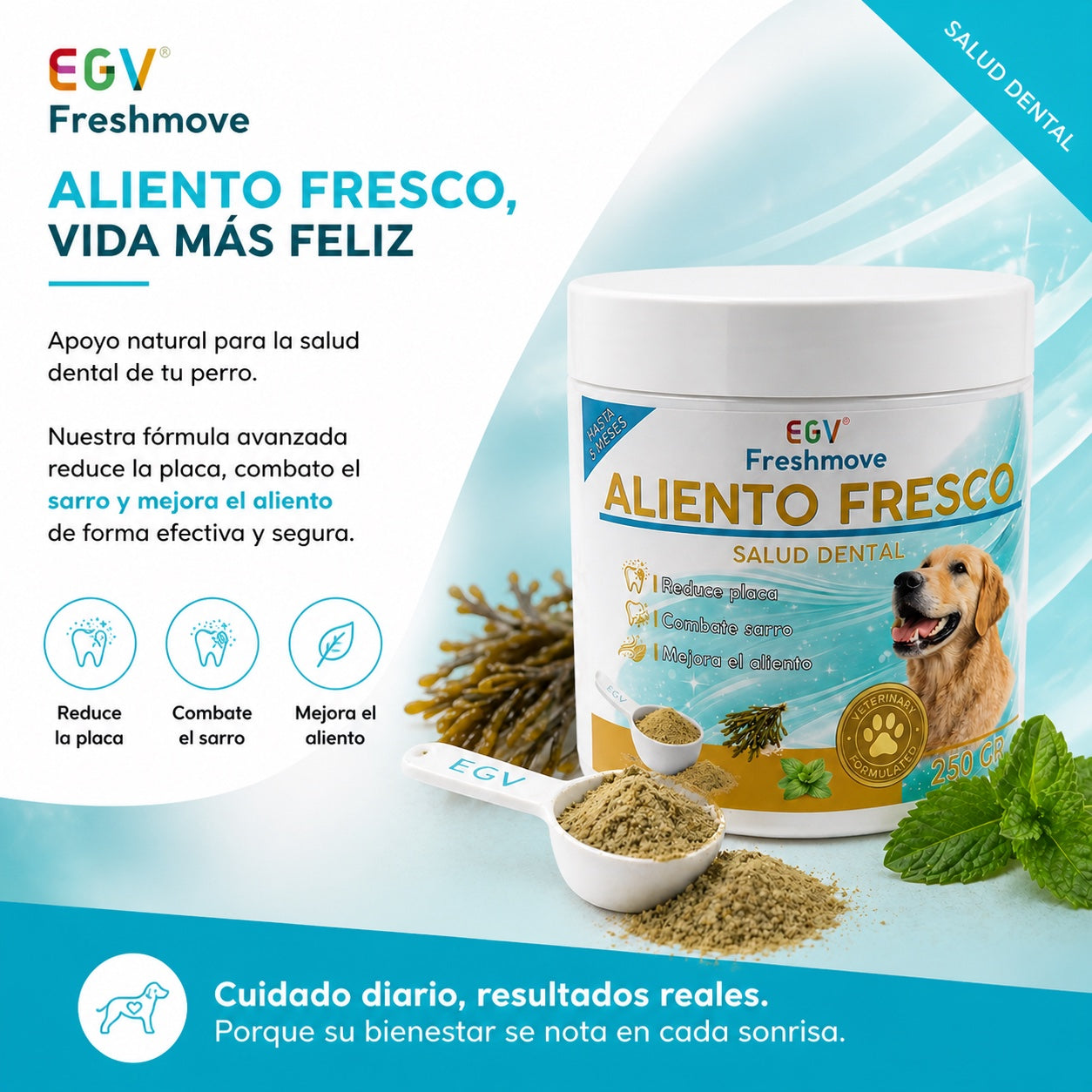 Freshmove — imagen 2