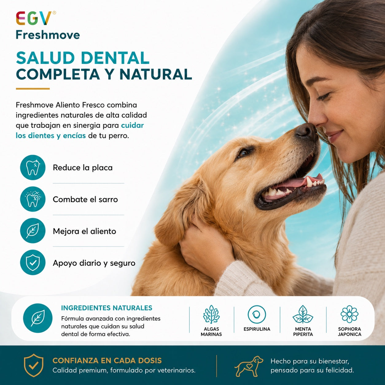 Freshmove — imagen 3