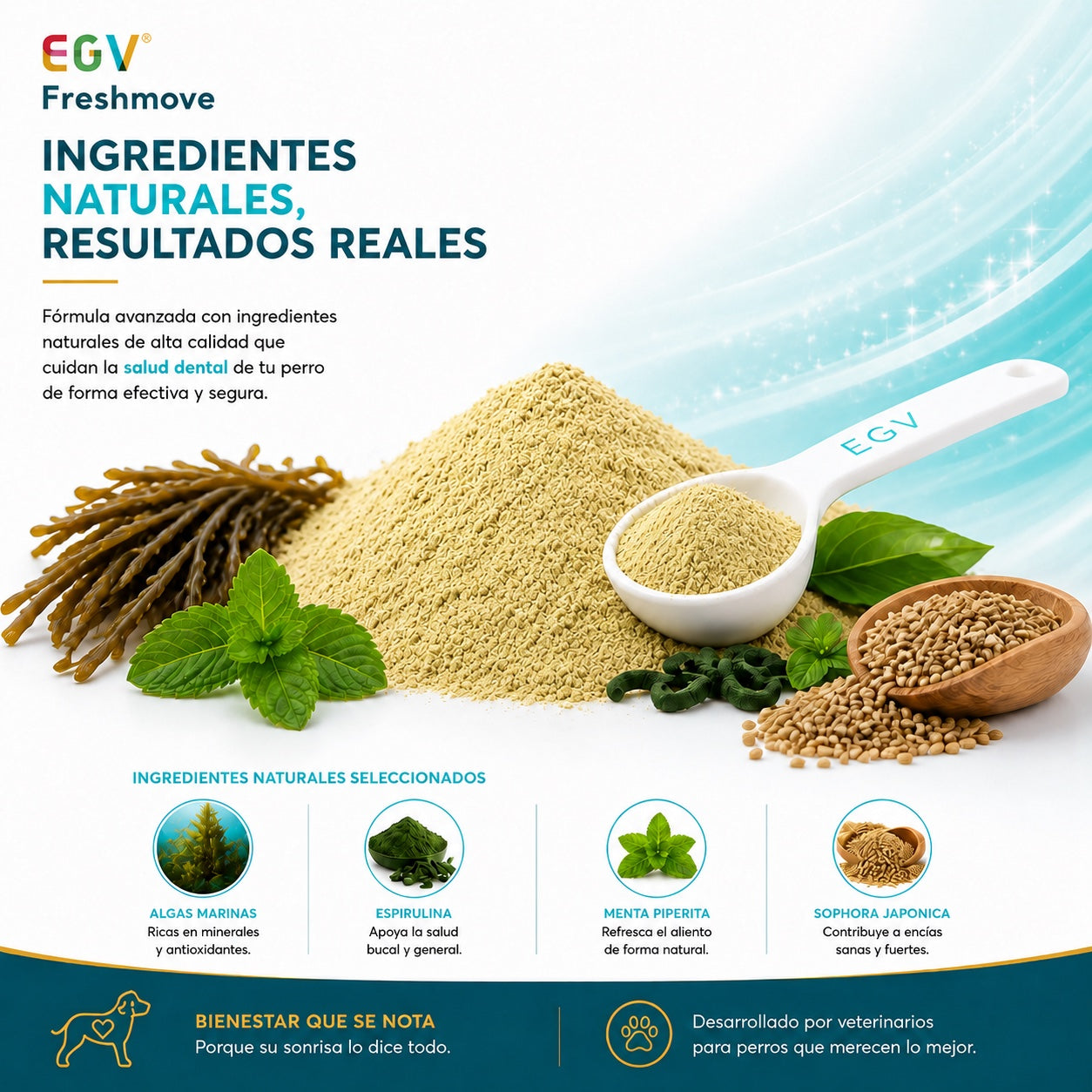Freshmove — imagen 4