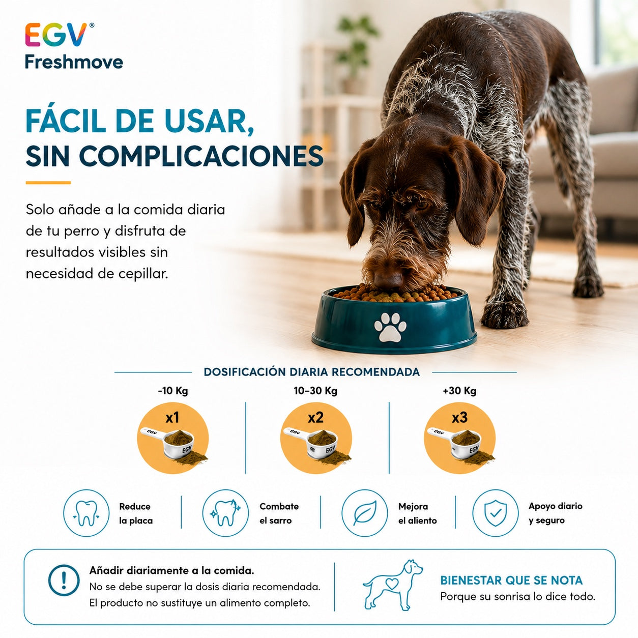 Freshmove — imagen 5